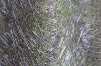 Ynysboeth fibreglass roof work